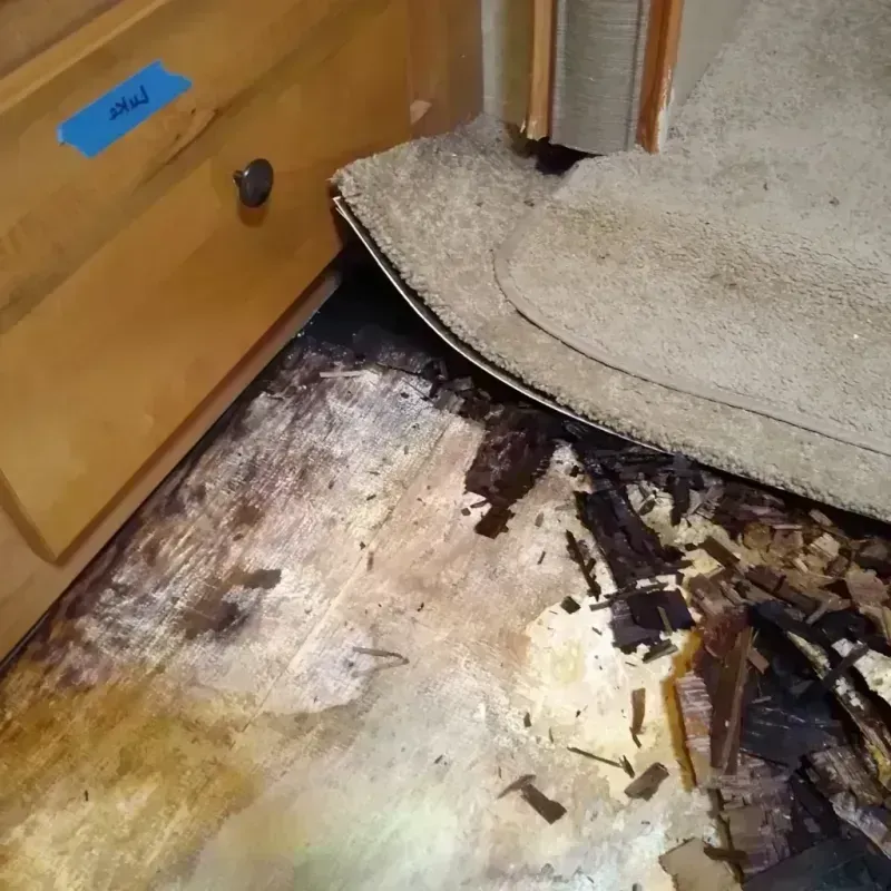 Best Wood Floor Water Damage Service in Sun Valley, AZ